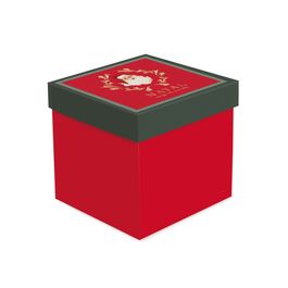Caixa Cubo Noel Vitoriano Colorido