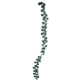 Galhos Decorativos Longo Verde Clara