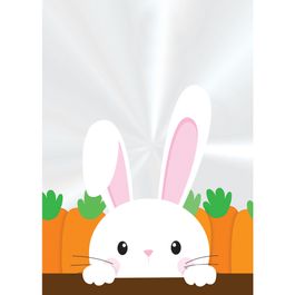 saco