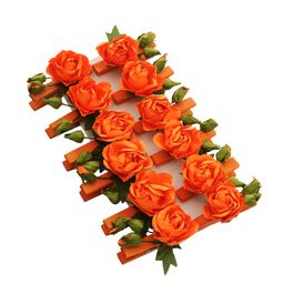 Prendedor Brisa Laranja JG C/12