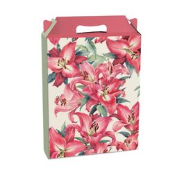 Cx Maleta Retangular Vertical Ruby Colorido