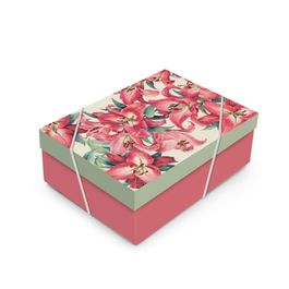 Cx Retangular com Tampa Ruby Colorido