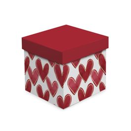 Cx Cubo Lover Colorido