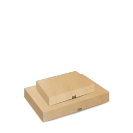 Caixa Para Transporte Para Docinhos Com 48 Unidade Liso Kraft