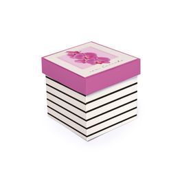 Caixa Cubo Celine Colorido