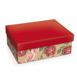 Caixa Rígida Retangular Alta Vitoria Vermelho/Rosa