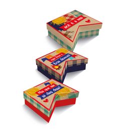 Caixa Bandeirinha Para Doces Festança Sortida Colorido