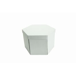 Caixa Hexagonal Liso Branco