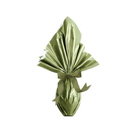 Express Verde Oliva