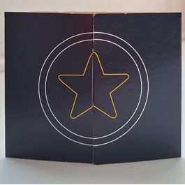 Tag Sacola Star Point C/100 UN