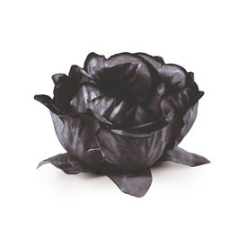Forminha Flora Liso Preto