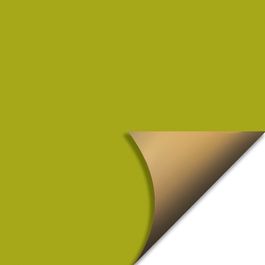Papel Kraft Liso Verde Maca / Ouro