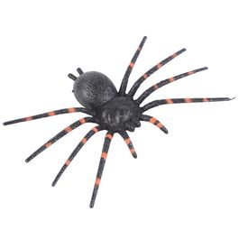 Aranha Listras Laranja