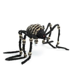 Aranha Listras Dourada