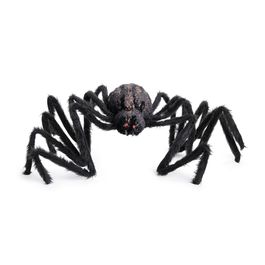 Aranha Casulo