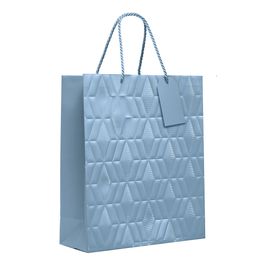 Sacola Premium Com Relevo Liso Azul Bebe
