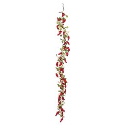 Galho Longo Folhas Frutas Verde Vermelho