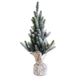 Topiaria Nevada Vrd/Mrr/Bco 13X13X36Cm