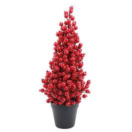 Topiaria C/Frutas Vrm 55Cm