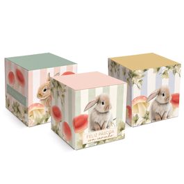 Caixa Pop Sem Visor Pop Breeze Sortido Colorido