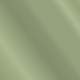 Express Liso Verde Oliva