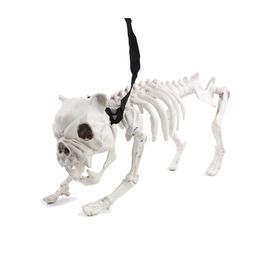 Esqueleto de Cachorro