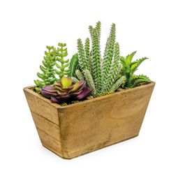 Cachepot C/Suculenta Mar/Vdc (Rustic) C/1 UN