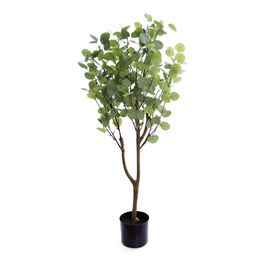 Eucalipto Com Vaso Ferro Verde