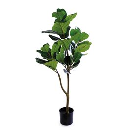Ficus Lyrata Com Vaso Ferro Verde
