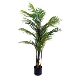 Palmeira Com Vaso Ferro Verde