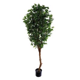 Ficus Com Vaso Madeira Verde