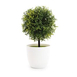 Mini Topiaria Com Vaso Plástico Verde / Cinza