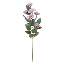 Buque Peonia 6 Flores Lil (Flor/Gal Perman) C/1 UN