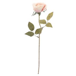 Rosa Solitaria Cha/Vrd (Flor/Gal Perman) C/1 UN