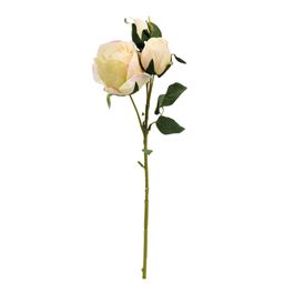 Rosa Decorativa c/ Folhas - Champagne / Verde (Flores e Galhos Permanentes)