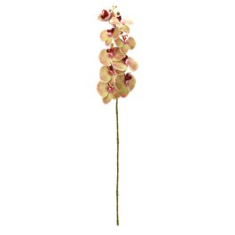 Orquídea Decorativa - Amarelo / Rosa / Verde (Flores e Galhos Permanentes)
