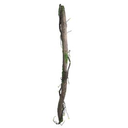 Galho Longo Decorativo c/ Musgo - Marrom / Verde (Rustic)