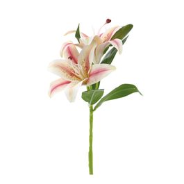 HASTE DE LÍRIO X2 39 CM - CHAMPAGNE