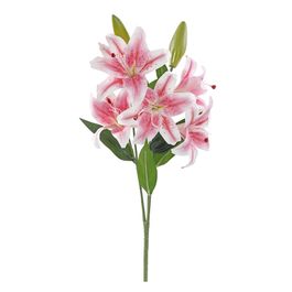 BUQUÊ DE LÍRIOS X6 60 CM - ROSA
