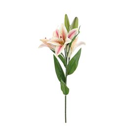 BUQUÊ DE LÍRIOS X3 68 CM - CHAMPAGNE