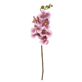 HASTE DE ORQUÍDEA X7 63 CM - ROXO