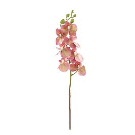 HASTE DE ORQUÍDEA X7 63 CM - AMARELO E  VERDE