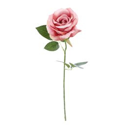 HASTE DE ROSA X1 51 CM - SALMÃO