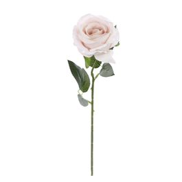 HASTE DE ROSA X1 51 CM - BRANCO