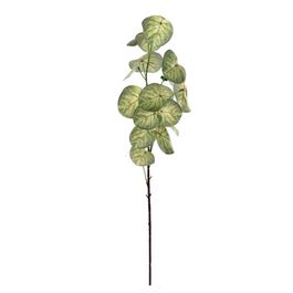 HASTE PILEA X20 90 CM - VERDE 2 TONS