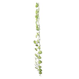 GALHO PILEA X32 180 CM - VERDE 2 TONS