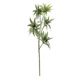 HASTE DRACENA X5 80 CM - VERDE 2 TONS