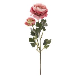 HASTE DE RANUNCÚLO X2 50 CM - ROSA / VERDE
