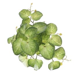 PENDENTE DE CALADIUM X36 18 CM - VERDE