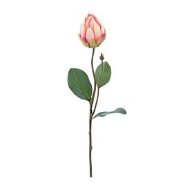 HASTE DE PROTEA X2 65 CM - ROSA